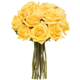 Rosas tallo largo amarillas (sin jarrón)