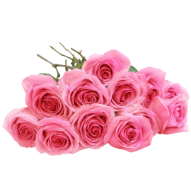 Bouquet de 12 rosas rosas