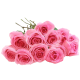 Bouquet de 12 rosas rosas